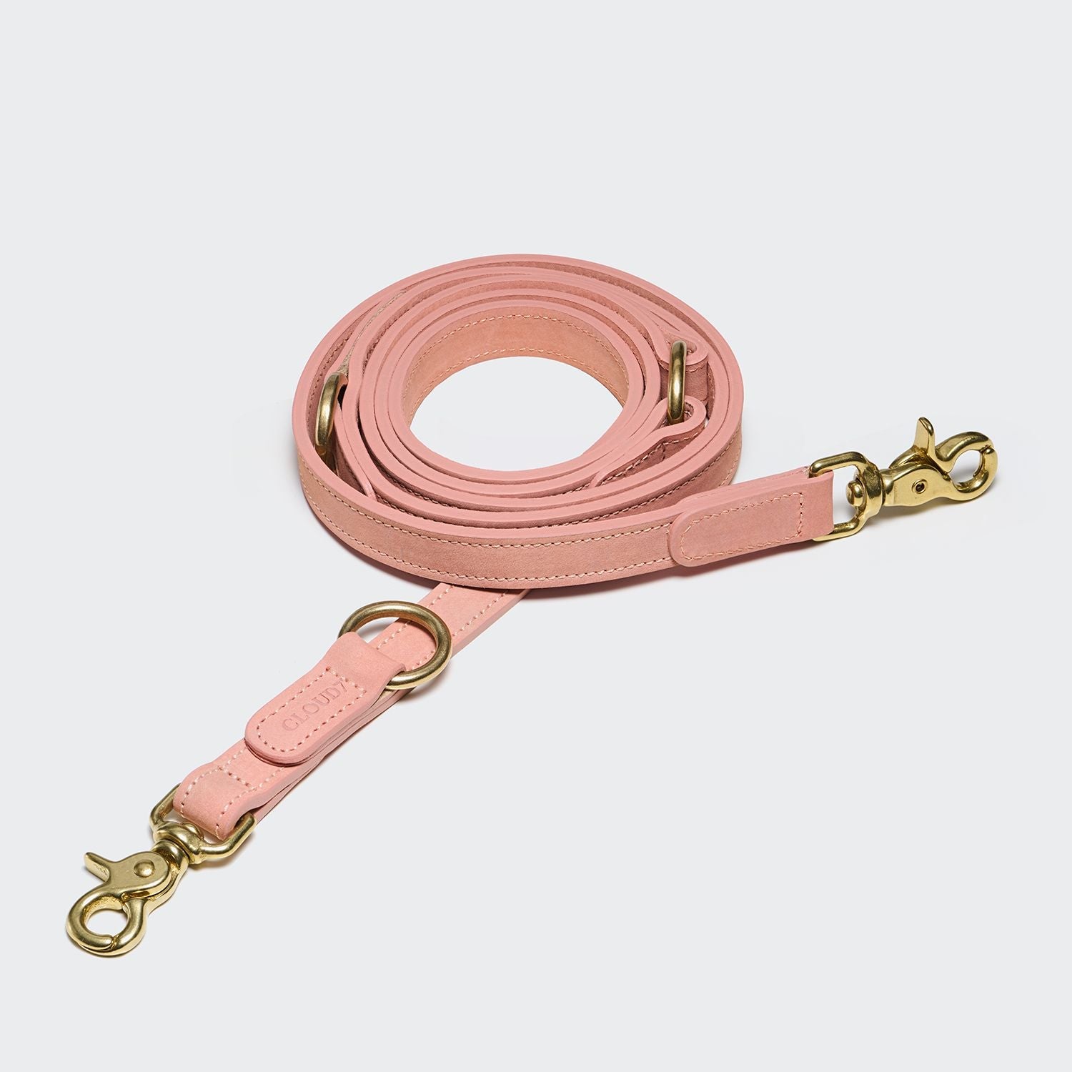 Dog Leash - Tiergarten Park - Peach — original