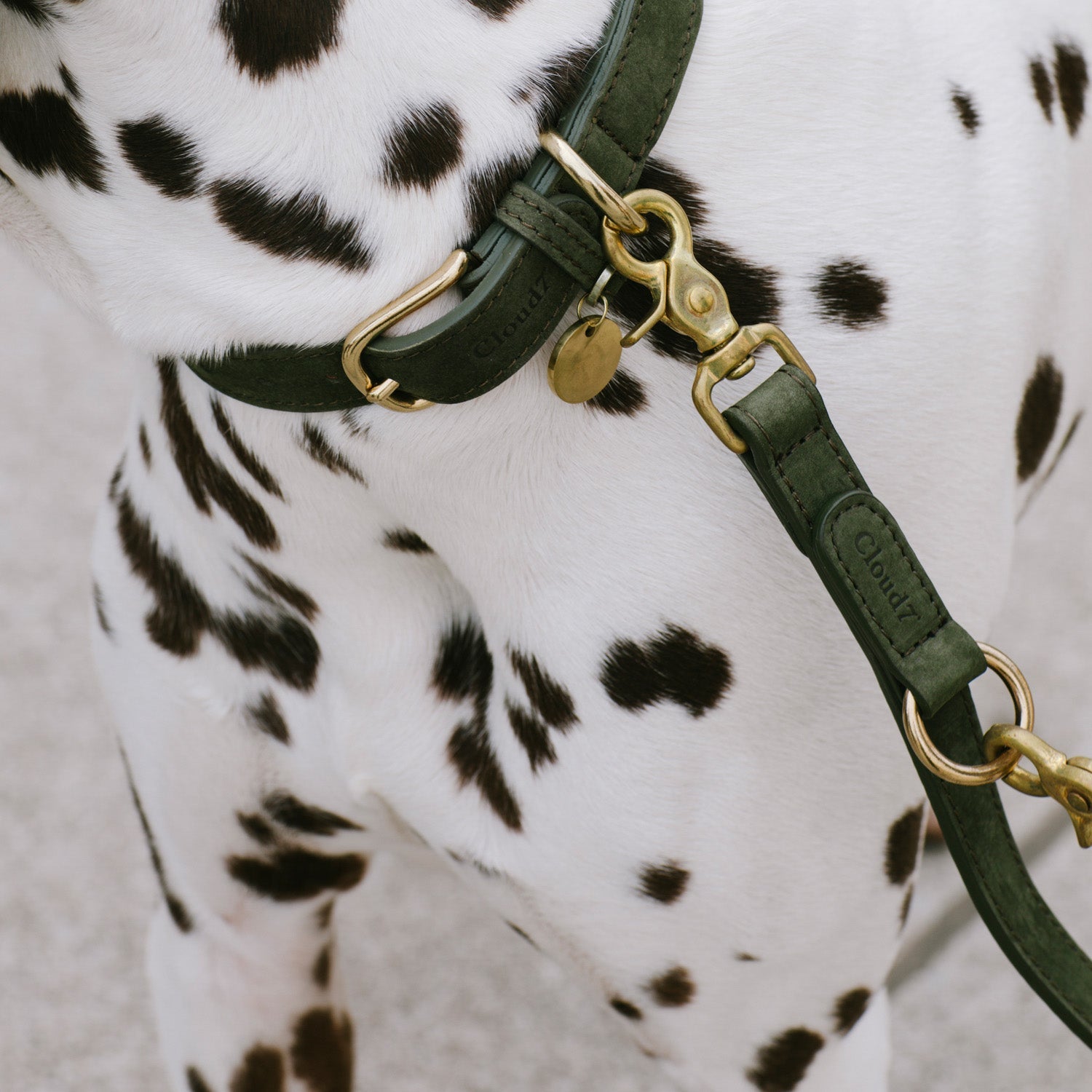 Dog Leash - Tiergarten - Moss — detail 2