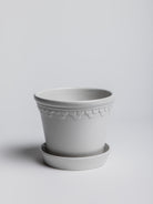 Copenhagen - Mineral White - Cigale &  Fourmi