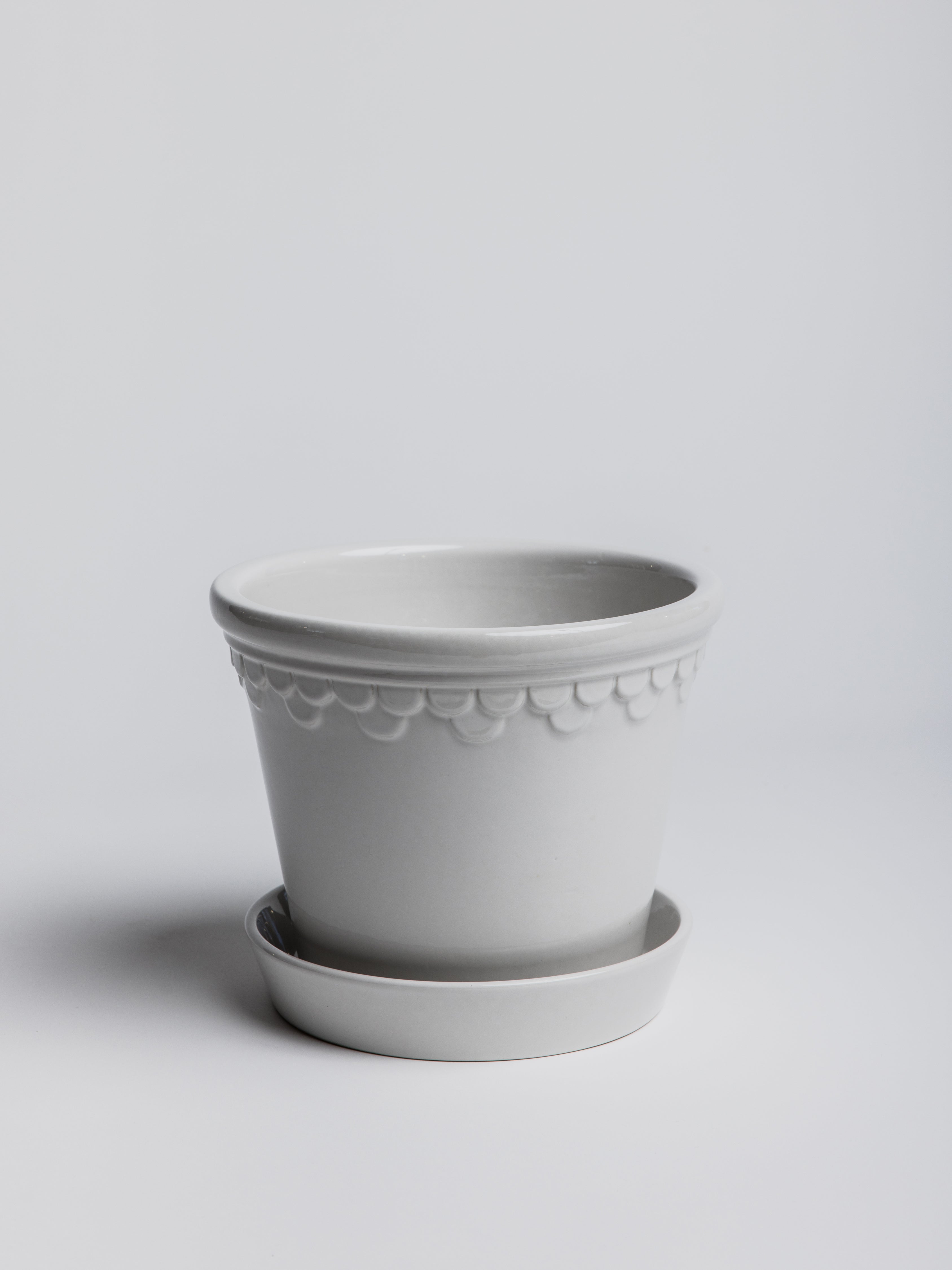 Copenhagen - Mineral White - Cigale &  Fourmi