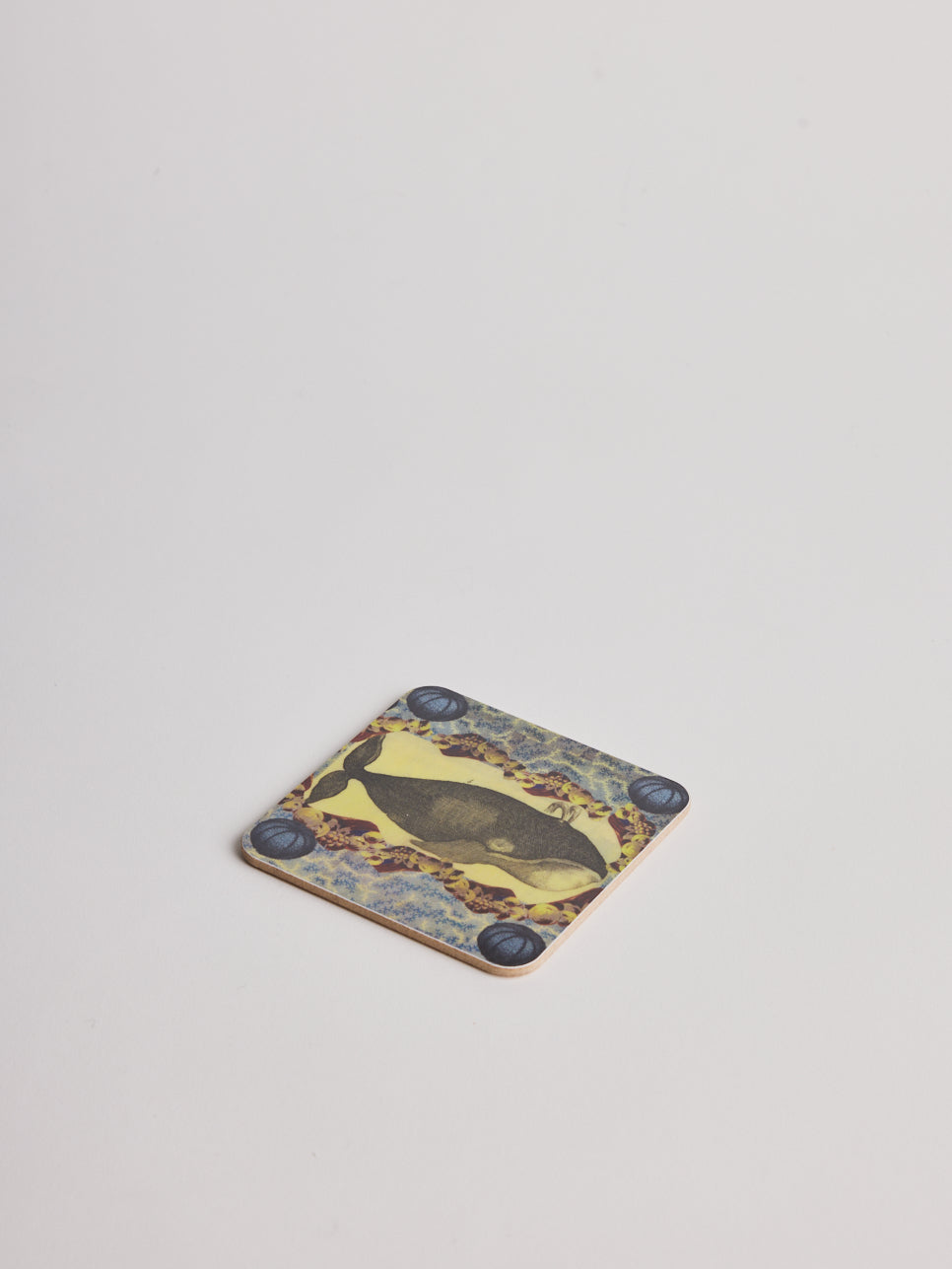 Coaster - Whale Urchins - Cigale &  Fourmi