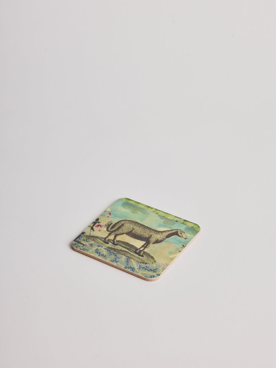 Coaster - Sheep - Cigale &  Fourmi
