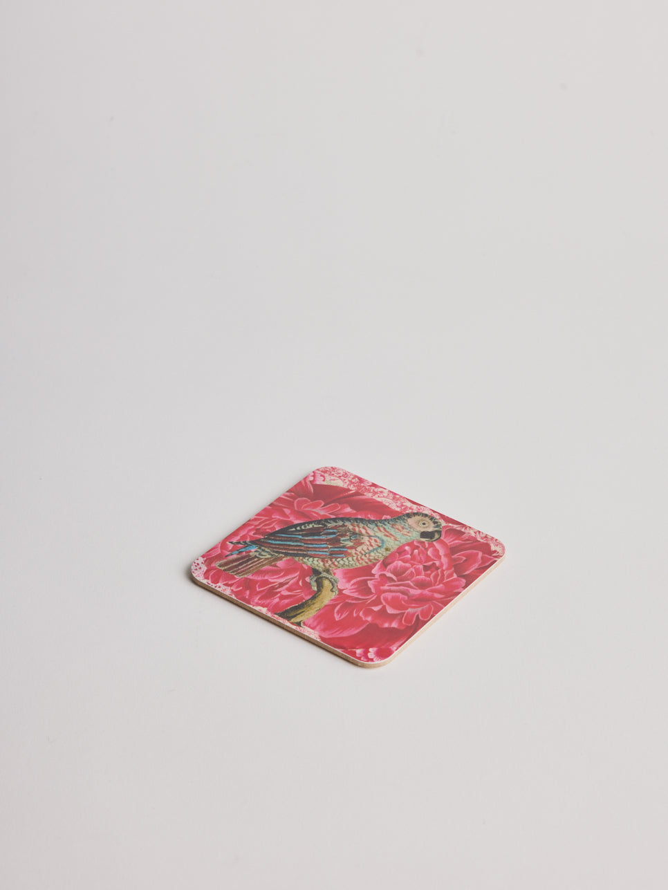 Coaster - Blue Parrot - Cigale &  Fourmi