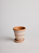 Pantheon - Terracotta - Cigale &  Fourmi