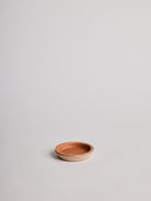 Pantheon - Terracotta - Cigale &  Fourmi