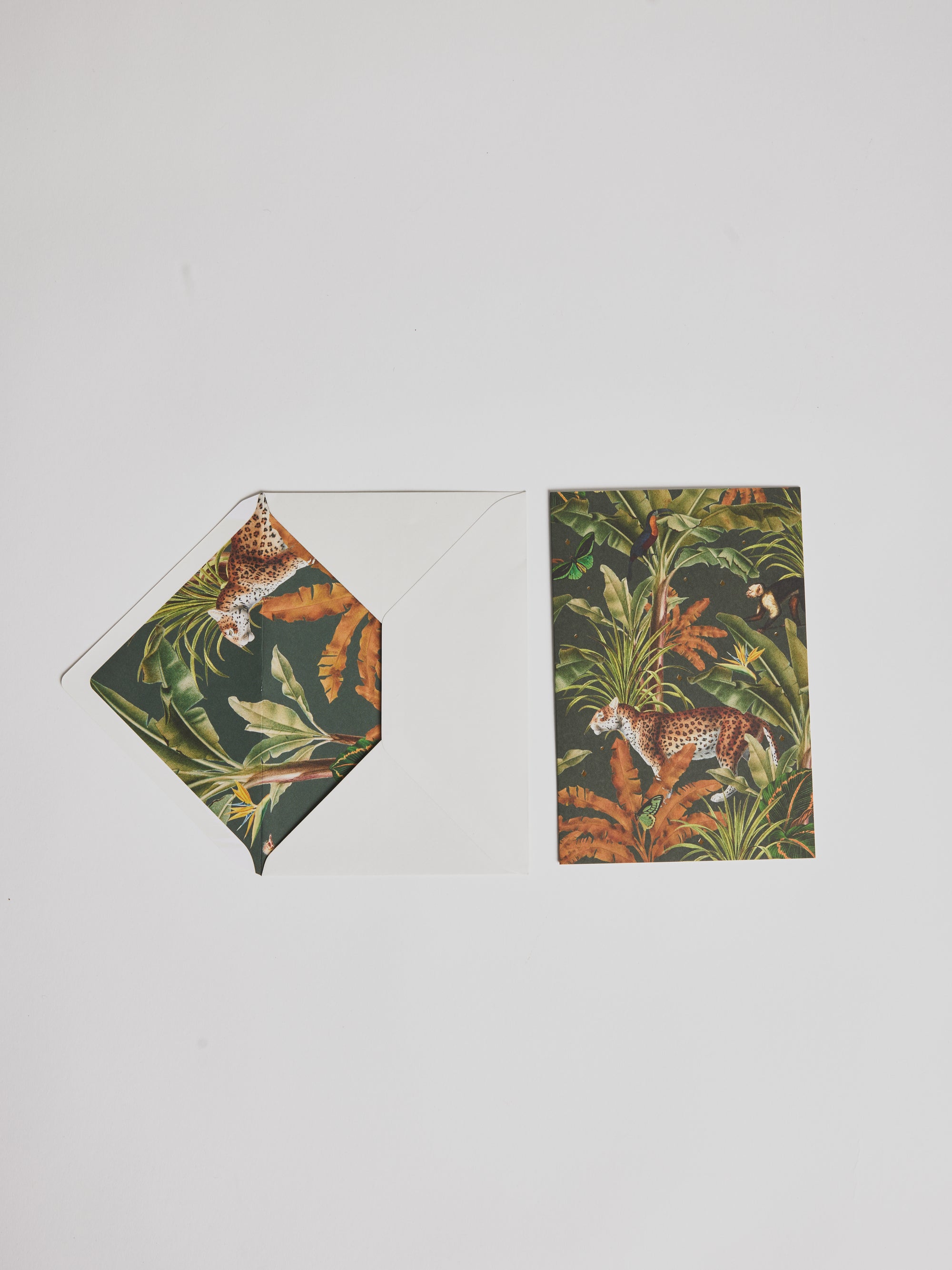 Greeting Card - Jungle - Cigale &  Fourmi