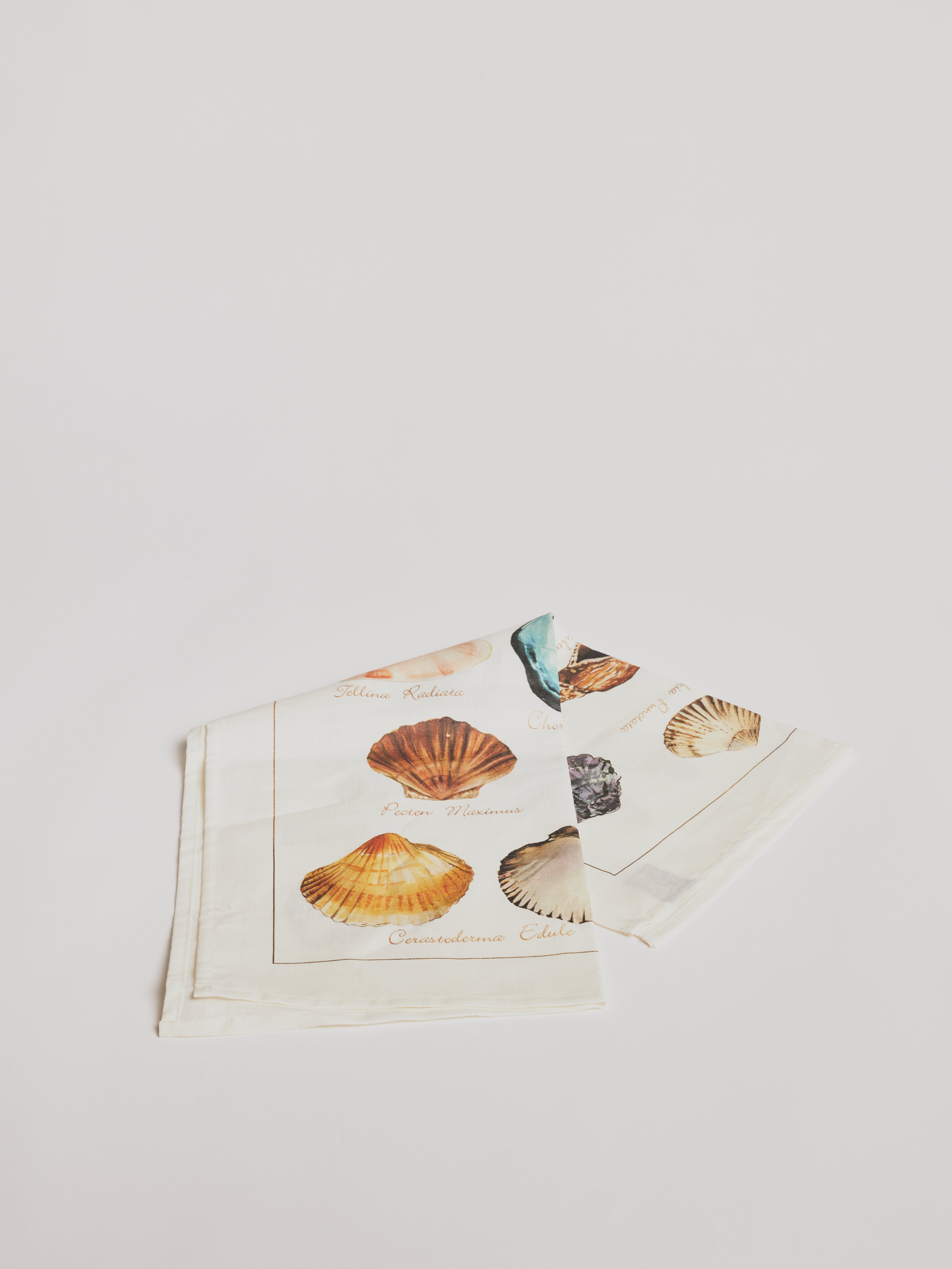Kitchen Towel - La Mer Pesci / Fish - Cigale &  Fourmi
