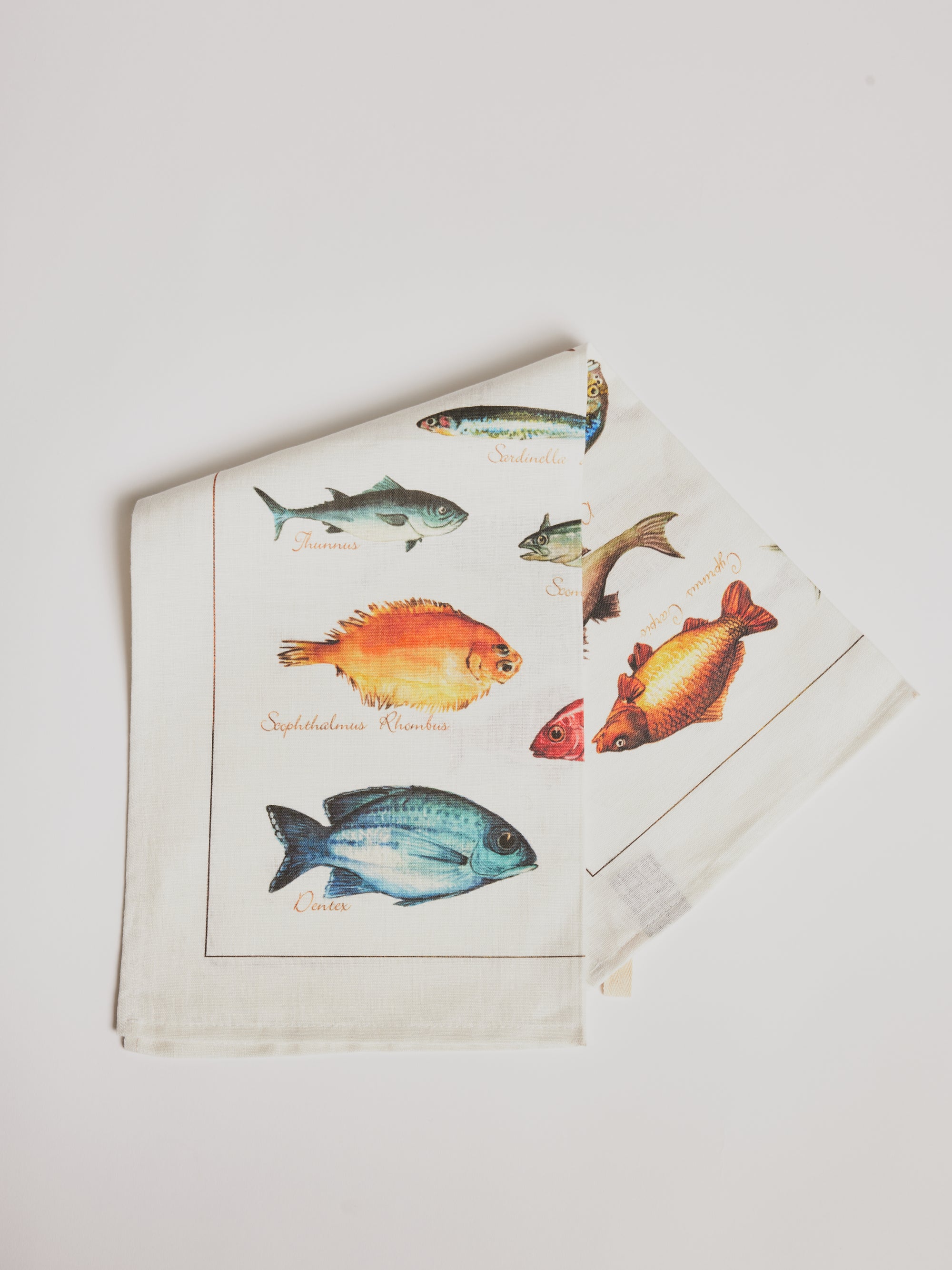 Kitchen Towel - La Mer Pesci / Fish - Cigale &  Fourmi