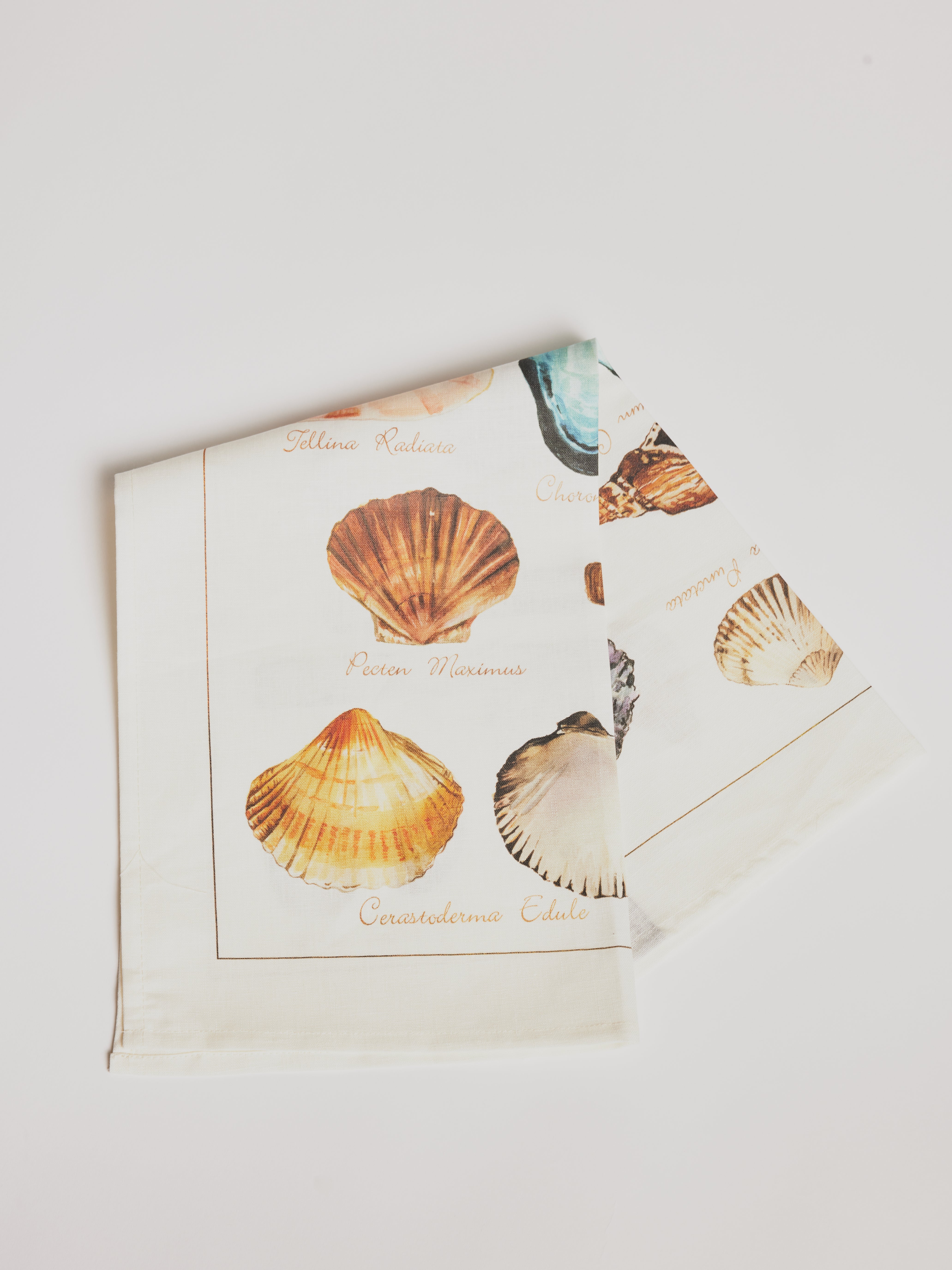Kitchen Towel - La Mer Crostacei / Seashell - Cigale &  Fourmi
