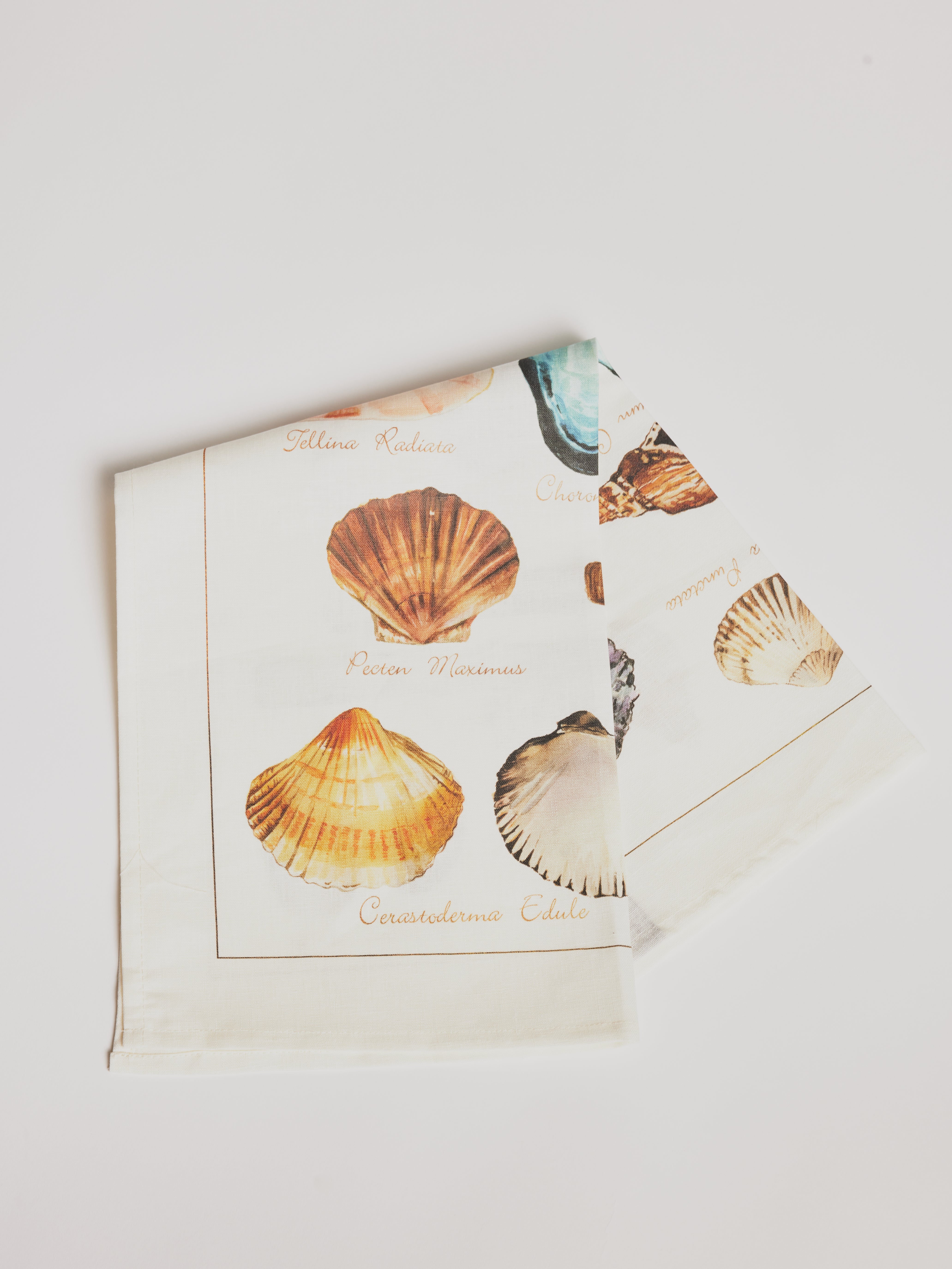 Kitchen Towel - La Mer Crostacei / Seashell - Cigale &amp;  Fourmi