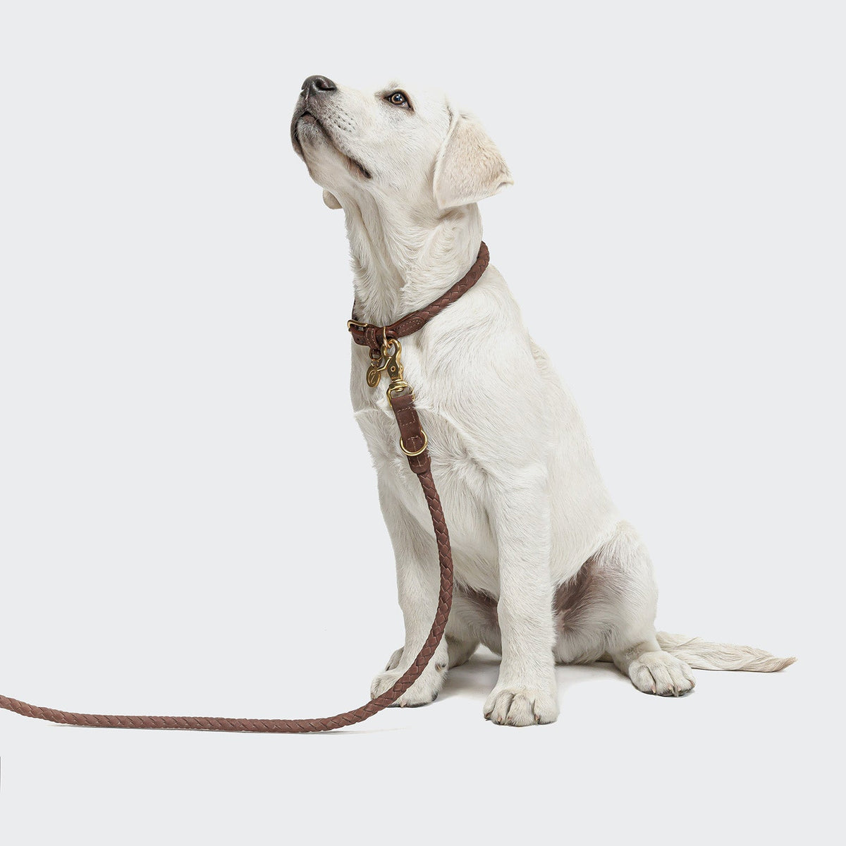 Dog Leash - Ravello - Hazel — original