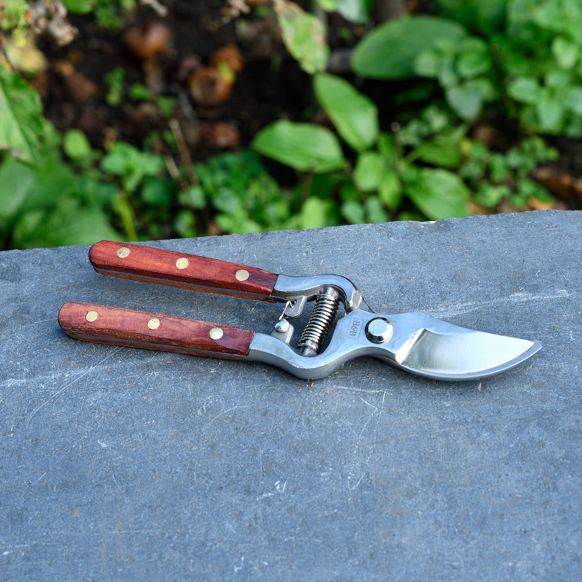 Secateur - Estate