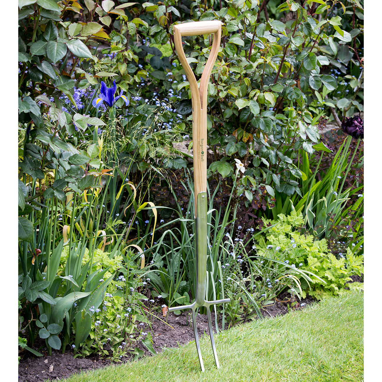 Rose & Root Fork