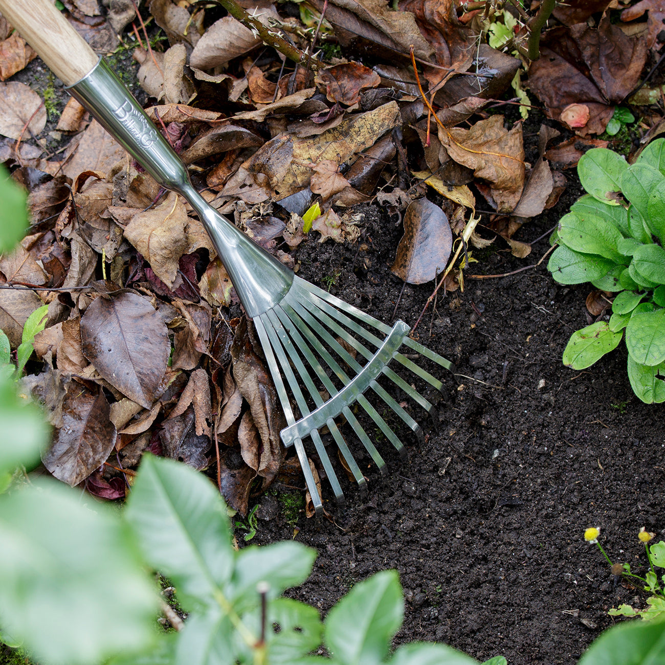 Long Handled Narrow Scrub Rake