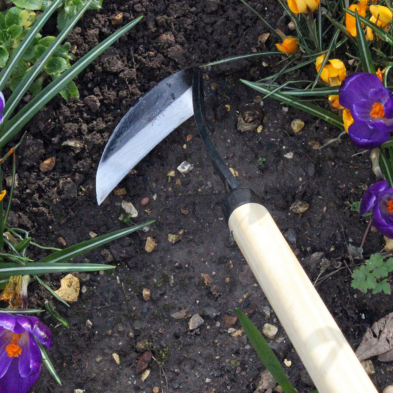 Long Handled - Razor Hoe