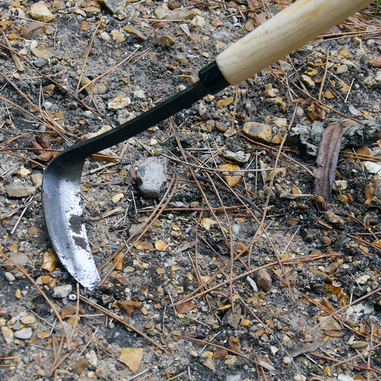 Long Handled - Razor Hoe