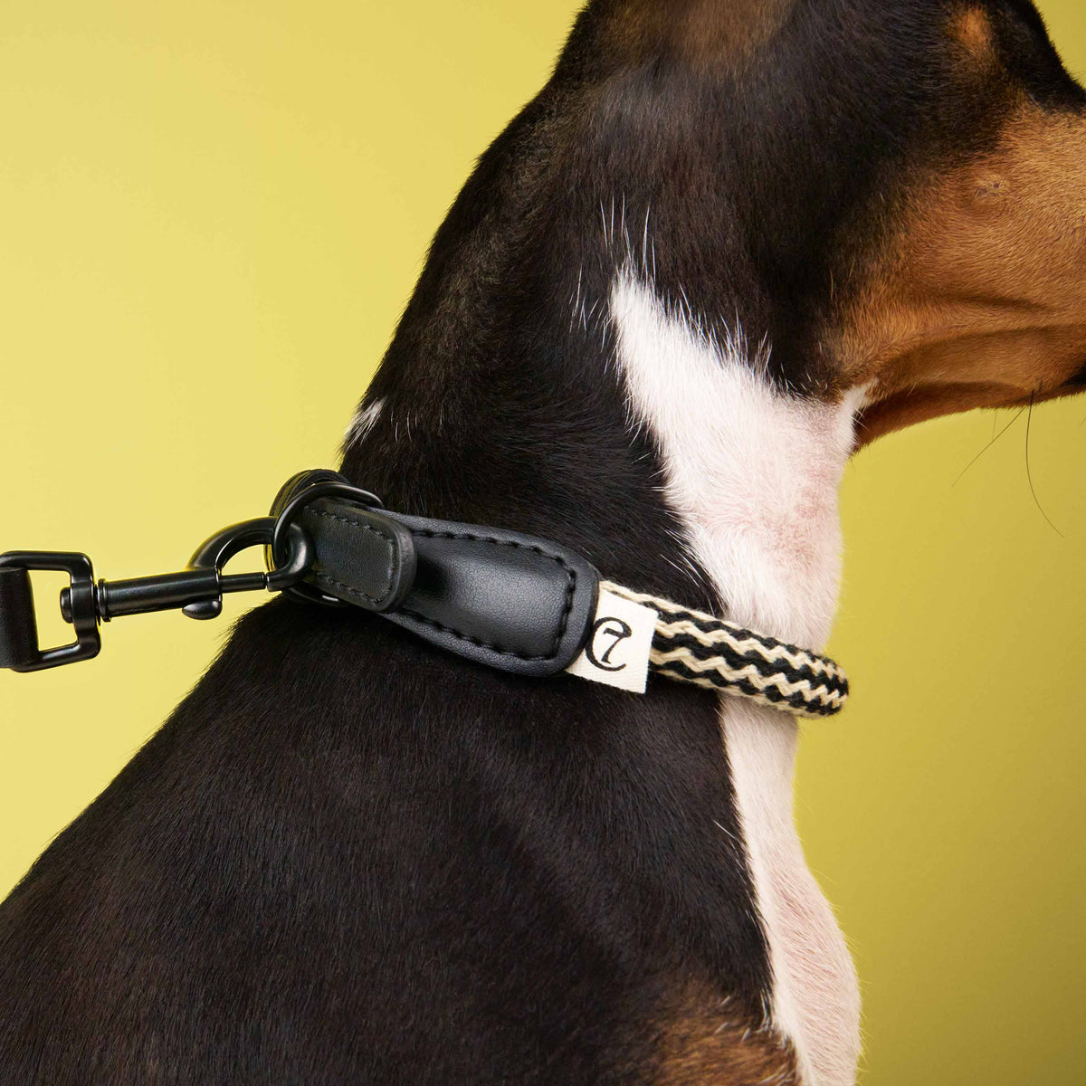 Dog Collar Mauerpark -Zigzag Black — detail 3