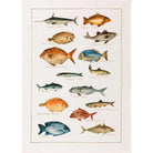 Kitchen Towel - La Mer Pesci - Cigale &  Fourmi