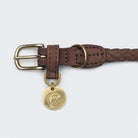 Dog Collar Ravello - Hazel — detail 4
