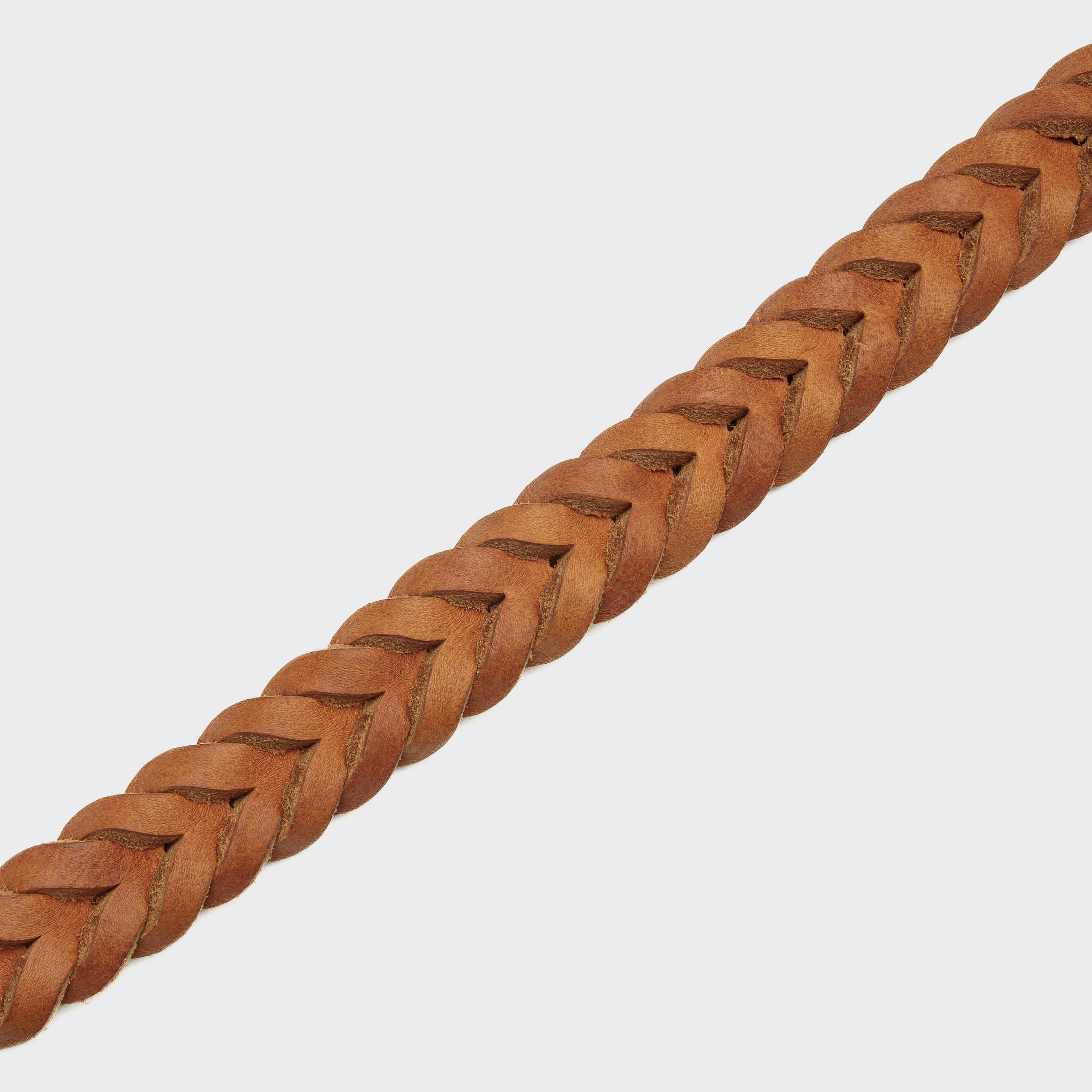 Dog Collar Central Park - Camel Gold — detail 5