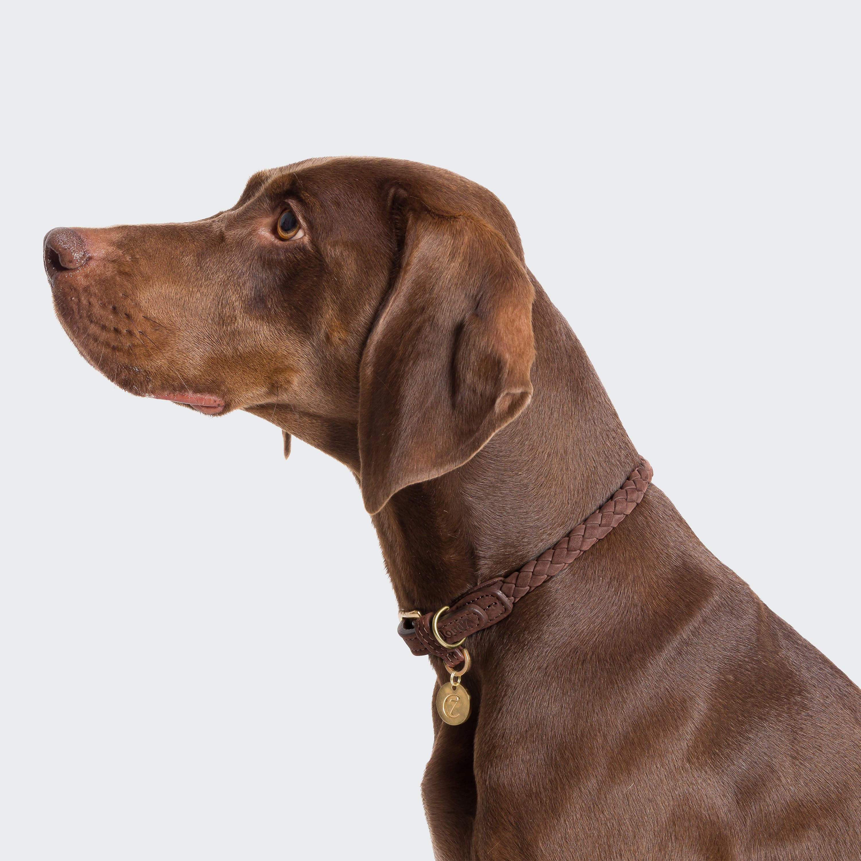 Dog Collar Ravello - Hazel — detail 3