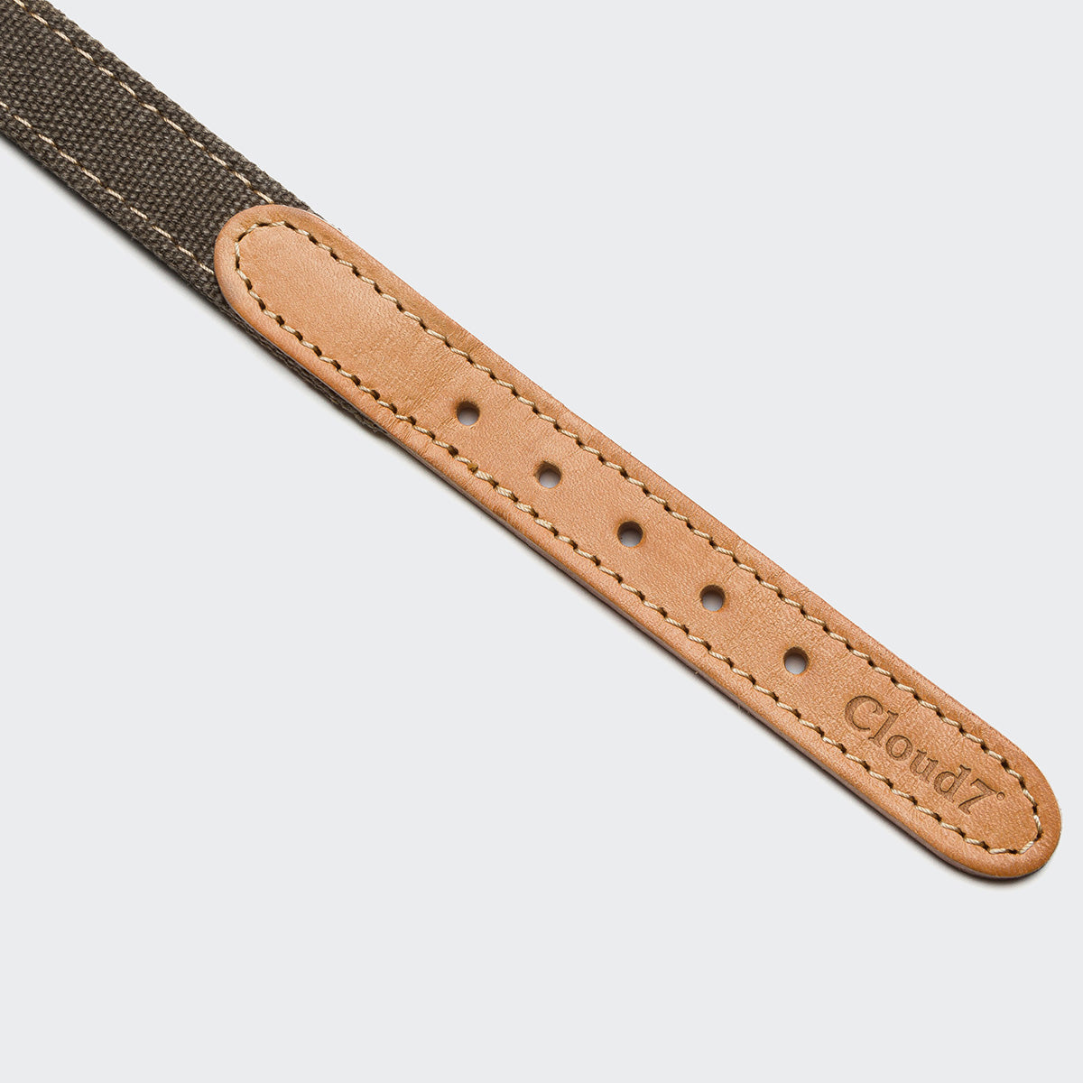 Dog Collar Tivoli Greige — detail 3