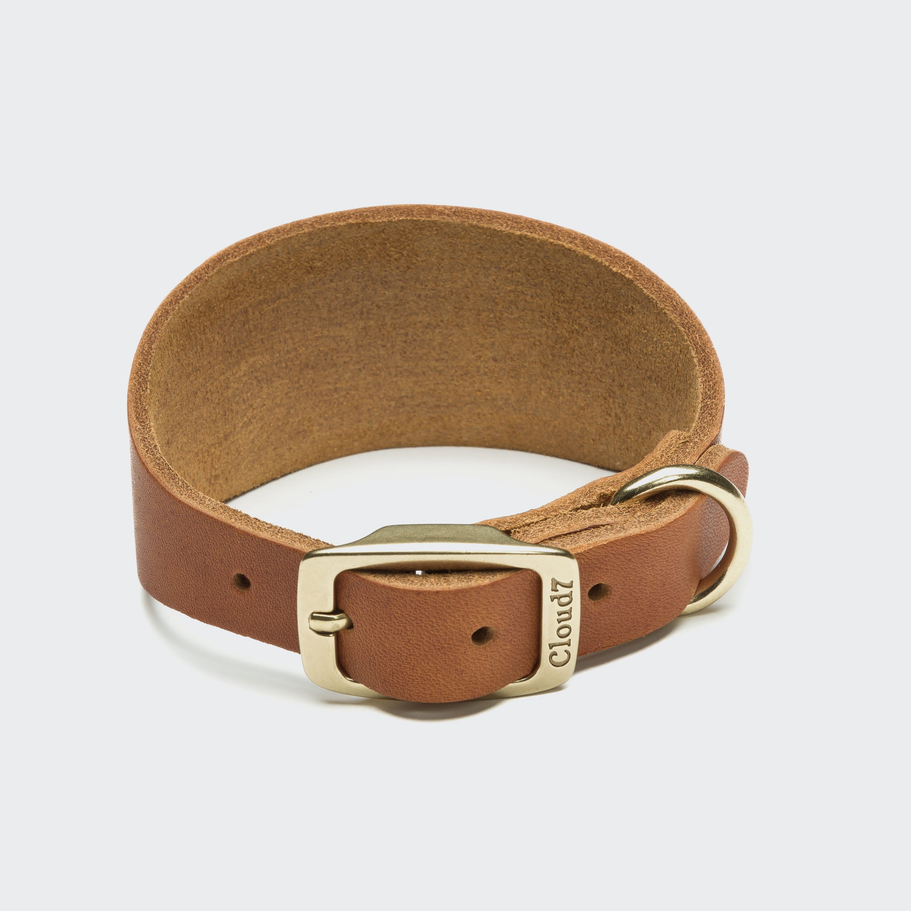 Dog Collar-Greyhound Regent Park - Camel Gold — original Cloud7 product image