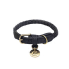 Dog Collar Ravello - Black — original Cloud7 product image