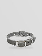 Dog Collar-  Riverside Park - Elephant — Cloud7