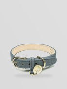 Dog Collar Tiergarten Park - Dove — Cloud7