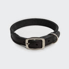 Dog Collar Tivoli Black — original Cloud7 product image
