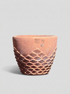 Cachepot - Spiked - Terracotta