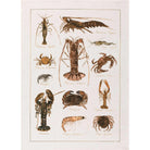 Kitchen Towel - La Mer Crostacei / Crabs - Cigale &  Fourmi