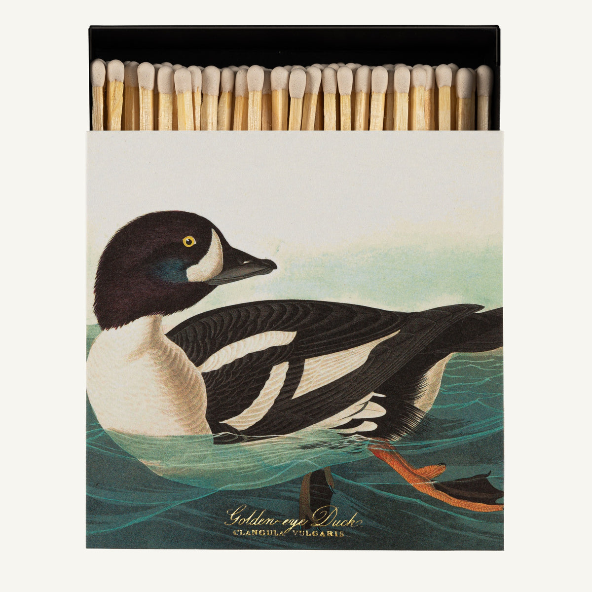 Luxury Matches - The Golden-eye Duck by Audubon — Archivist