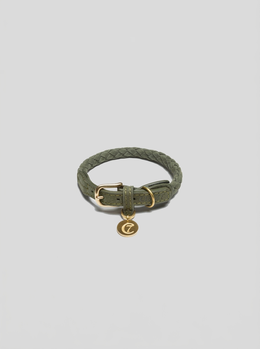 Dog Collar Ravello - Moss — Cigale & Fourmi