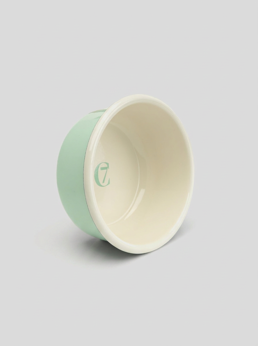 Dog Bowl Enamel - Pastell Green — Cigale & Fourmi
