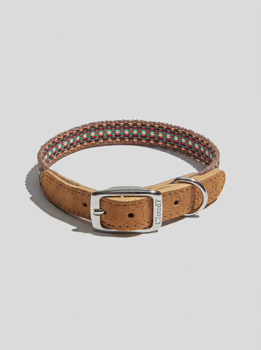 Dog Collar - Prater Sunset — Cigale & Fourmi