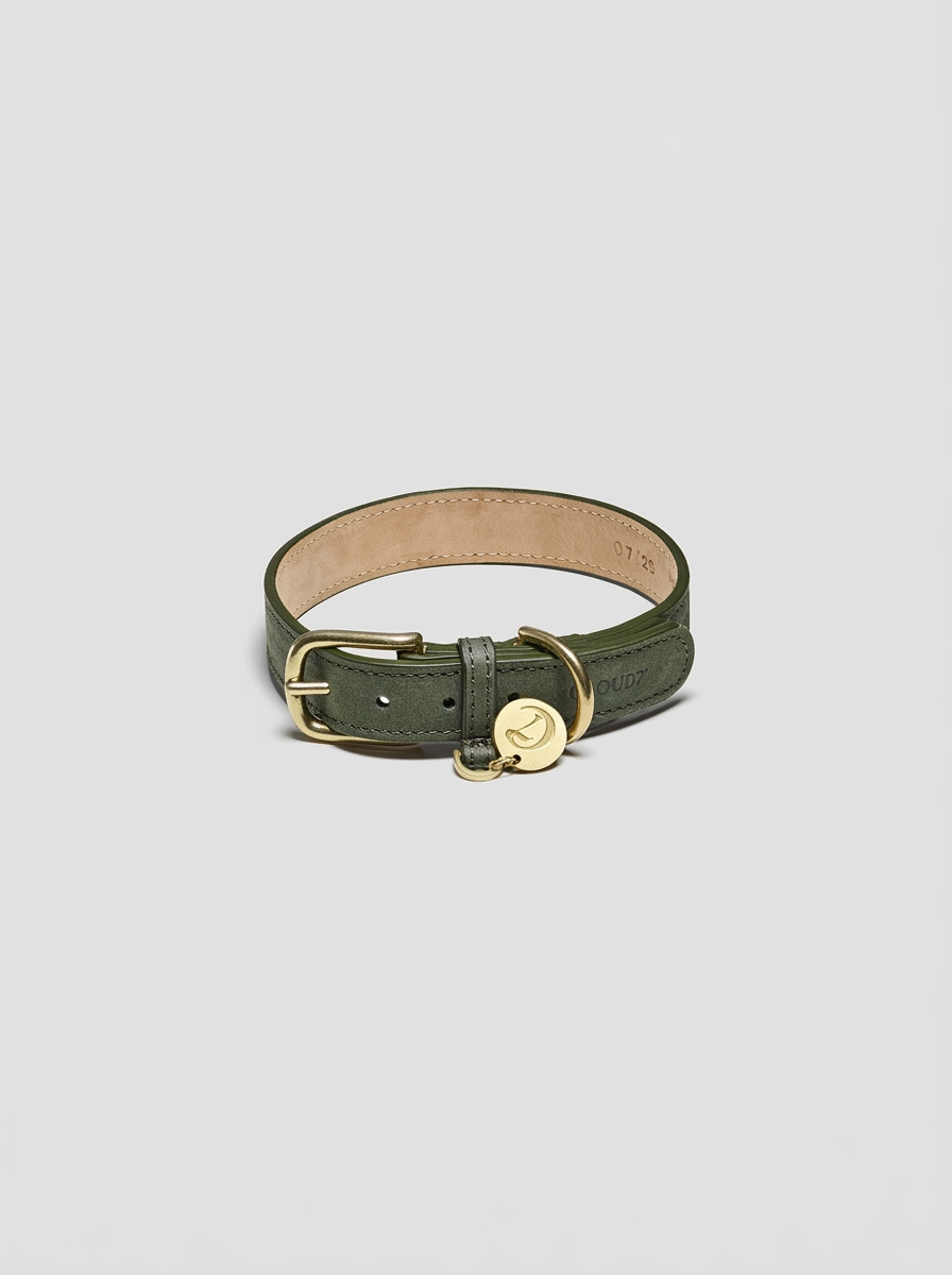 Dog Collar Tiergarten - Moss — Cigale & Fourmi