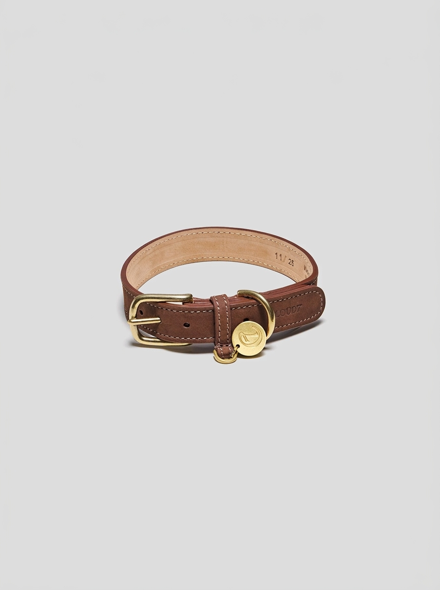 Dog Collar Tiergarten Park - Mocca — Cigale & Fourmi