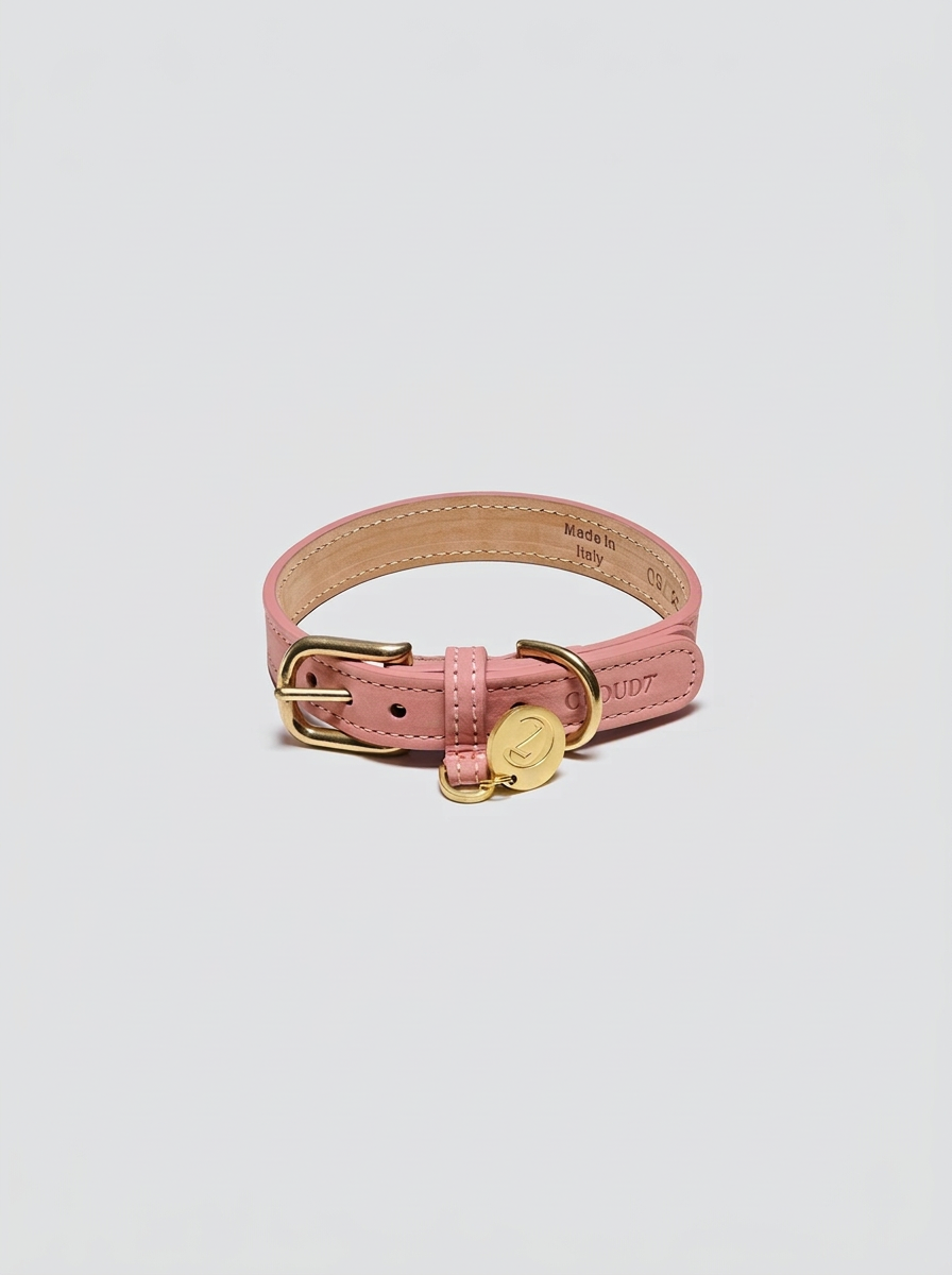 Dog Collar Tiergarten Park - Peach — Cigale & Fourmi