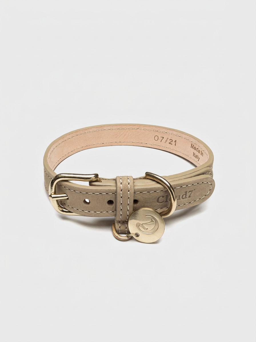 Dog Collar Tiergarten - Sandy — Cigale & Fourmi