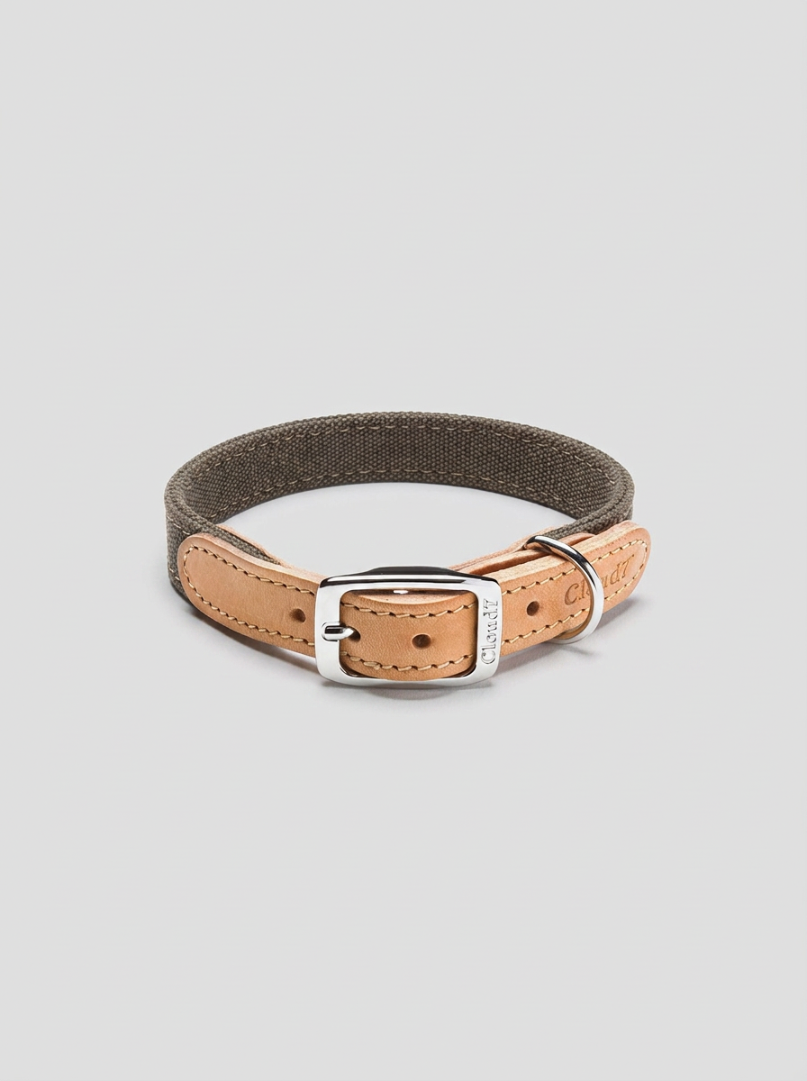 Dog Collar Tivoli Greige — Cigale & Fourmi