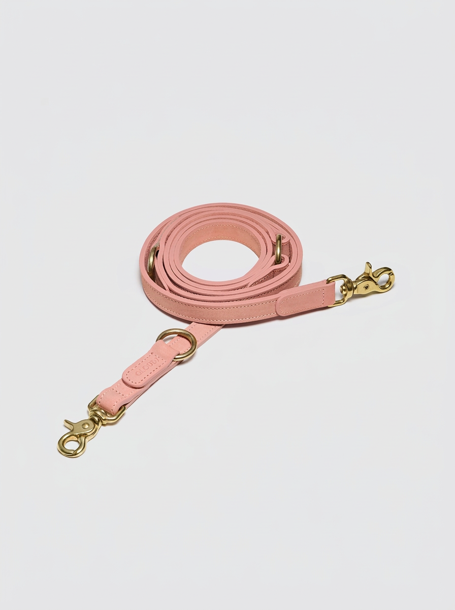 Dog Leash - Tiergarten Park - Peach — Cigale & Fourmi