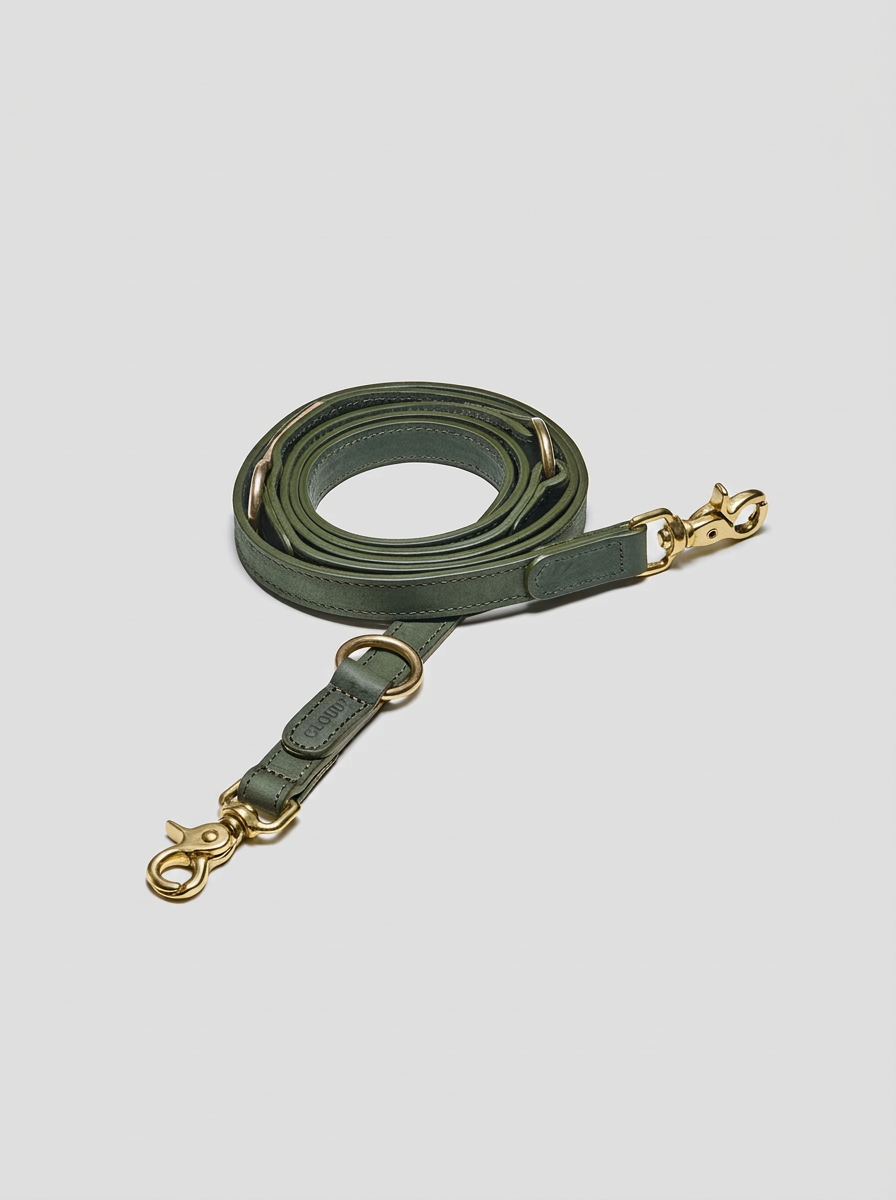Dog Leash - Tiergarten - Moss — Cigale & Fourmi
