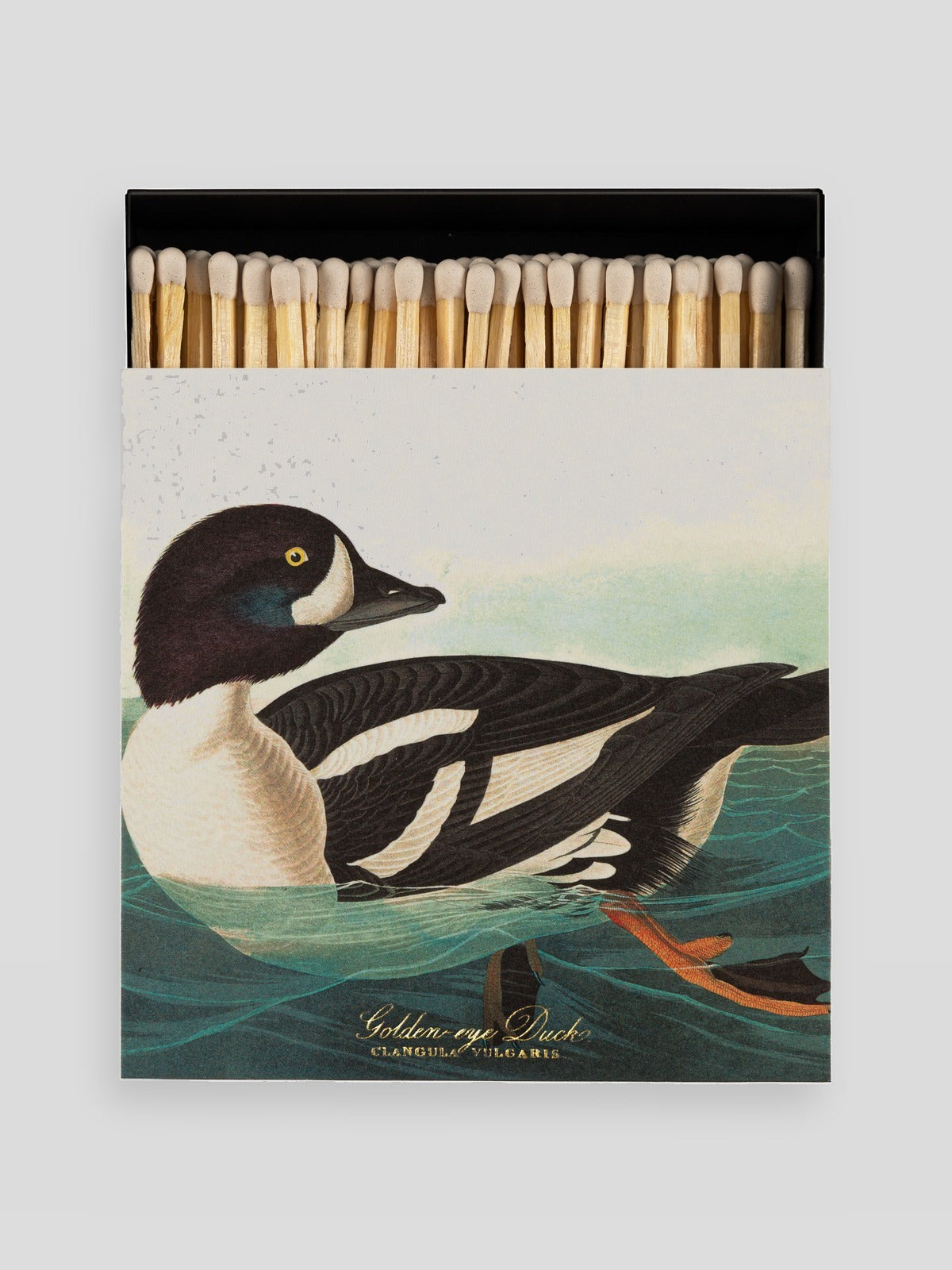 Luxury Matches - The Golden-eye Duck by Audubon — Archivist
