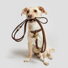 Dog Collar Tiergarten Park - Mocca — detail 2