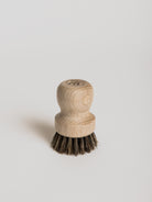 Filter Brush - Cigale &  Fourmi