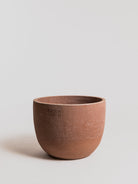Bulbo -Terracotta Pot Poggi Ugo 
