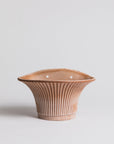 Daisy Wall - Terracotta Vase/Pot Bergs Potter 