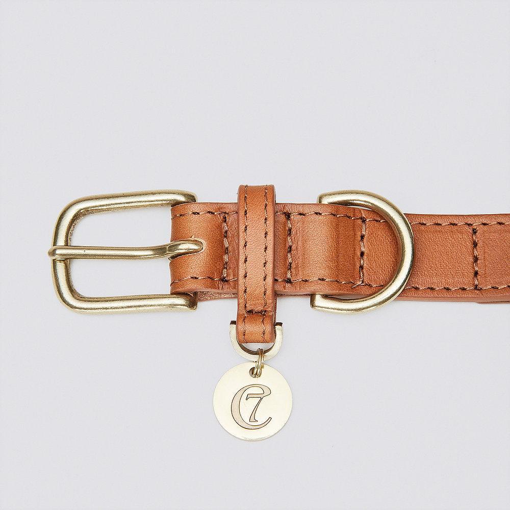 Dog Collar Hyde Park - Cognac Dog Collar Cloud7 